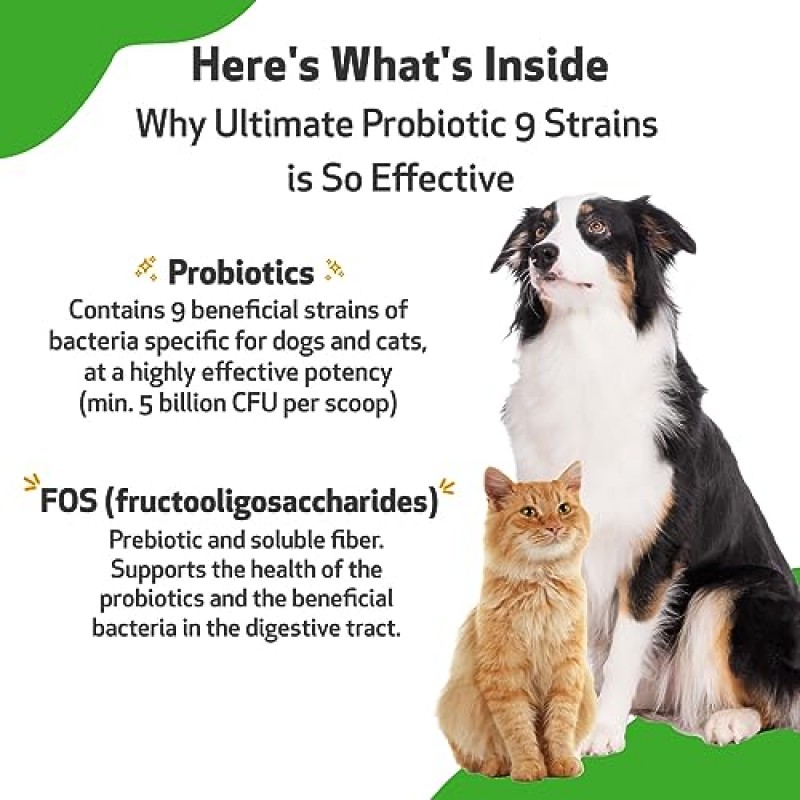 Pet Wellbeing Ultimate Probiotic 9 Strains for Dogs & Cats - 건강한 소화, 면역 지원, 요로 건강 - 11.29 oz (320 g)