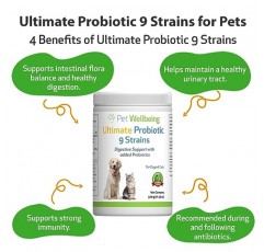 Pet Wellbeing Ultimate Probiotic 9 Strains for Dogs & Cats - 건강한 소화, 면역 지원, 요로 건강 - 11.29 oz (320 g)