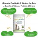 Pet Wellbeing Ultimate Probiotic 9 Strains for Dogs & Cats - 건강한 소화, 면역 지원, 요로 건강 - 11.29 oz (320 g)