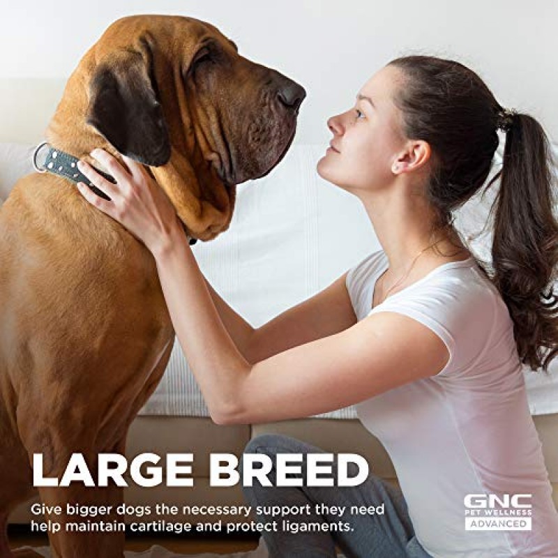 GNC Pets 고급 개 엉덩이 및 관절 개 보조식품 | 대형견용 고관절 및 관절 건강을 위한 90 Ct 소프트 츄견 보조제 | 미국산 씹기 쉬운 개 보조식품