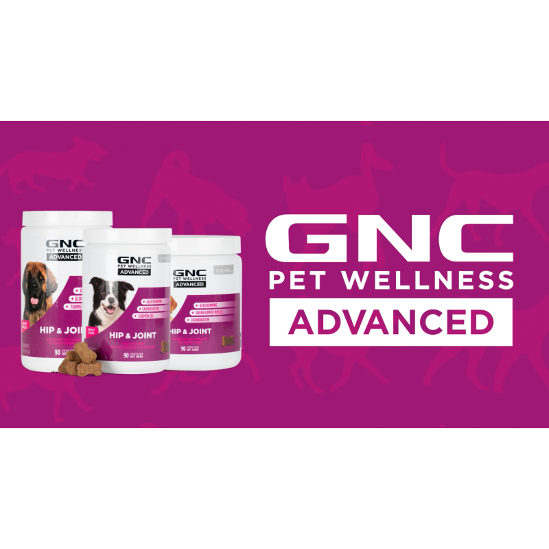 GNC Pets 고급 개 엉덩이 및 관절 개 보조식품 | 대형견용 고관절 및 관절 건강을 위한 90 Ct 소프트 츄견 보조제 | 미국산 씹기 쉬운 개 보조식품