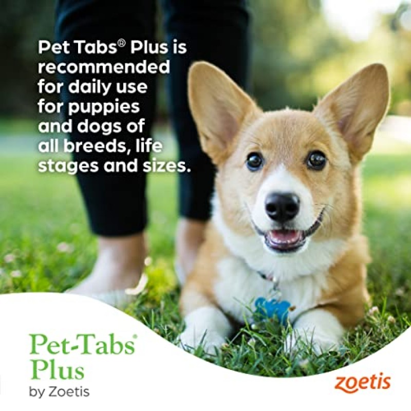 Pet-Tabs Plus 개용 종합비타민 및 미네랄 보충제, 츄어블 정제, 180개 병