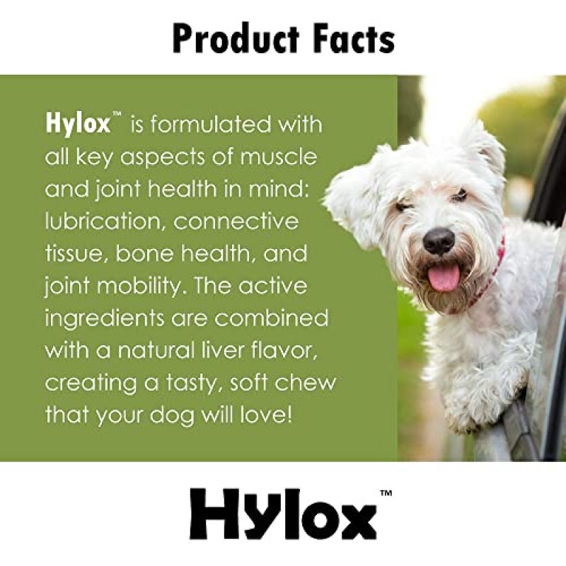 Hylox Pet Health Solutions 강아지용 소프트 츄 - 관절 및 쿠션 지원 결합 조직 - 글루코사민 - 알파 리놀렌산 - 크레아틴 - 240 소프트 츄