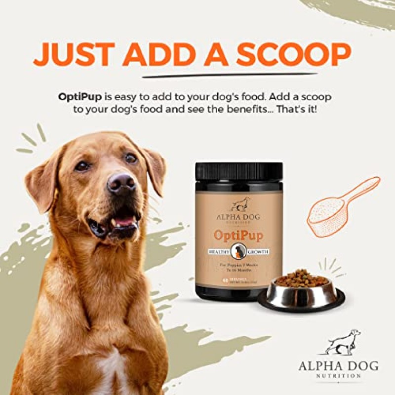 Alpha Dog Nutrition의 OptiPup 올인원 강아지 종합비타민 및 프로바이오틱스 - 강아지를 위한 31가지 전체 식품 성분 및 비타민 - 건강한 성장, 피부 및 털, 면역력, 소화 및 인지 지원