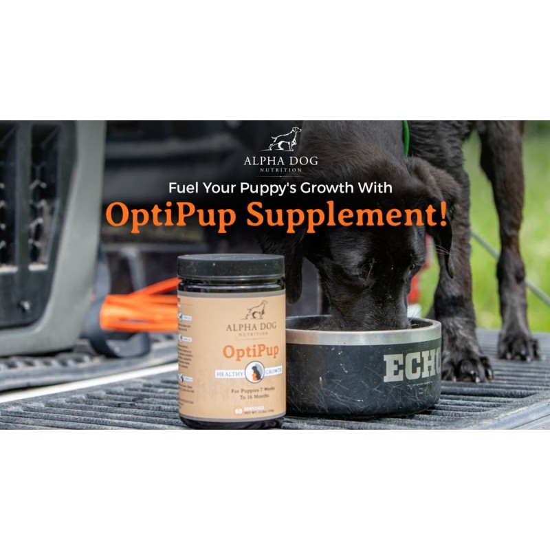 Alpha Dog Nutrition의 OptiPup 올인원 강아지 종합비타민 및 프로바이오틱스 - 강아지를 위한 31가지 전체 식품 성분 및 비타민 - 건강한 성장, 피부 및 털, 면역력, 소화 및 인지 지원