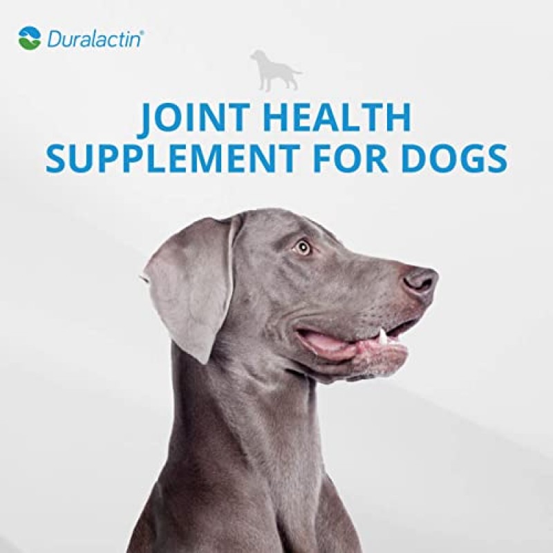 PRN Pharmacal Duralactin Canine Joint Plus - 통증 관리에 도움을 주면서 건강한 연골 수준 및 관절 기능을 지원하는 개 및 강아지용 관절 건강 보조제 - 90 소프트 츄