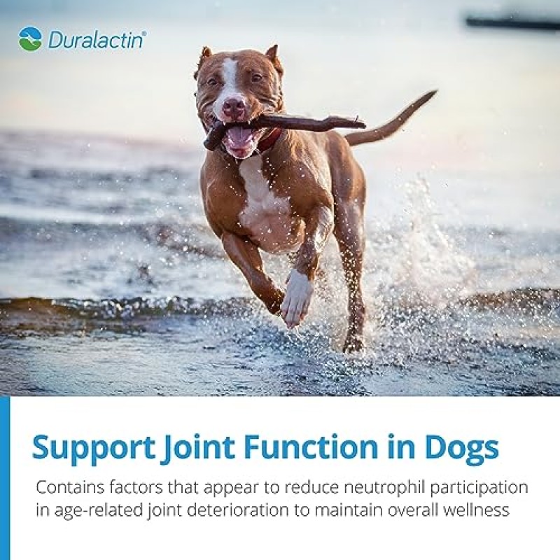 PRN Pharmacal Duralactin Canine Joint Plus - 통증 관리에 도움을 주면서 건강한 연골 수준 및 관절 기능을 지원하는 개 및 강아지용 관절 건강 보조제 - 90 소프트 츄