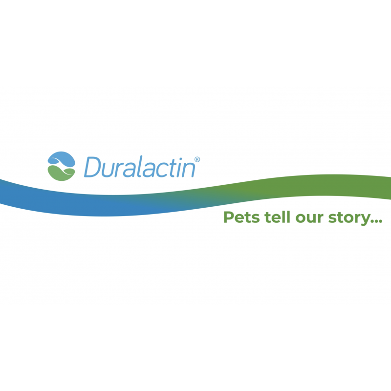 PRN Pharmacal Duralactin Canine Joint Plus - 통증 관리에 도움을 주면서 건강한 연골 수준 및 관절 기능을 지원하는 개 및 강아지용 관절 건강 보조제 - 90 소프트 츄