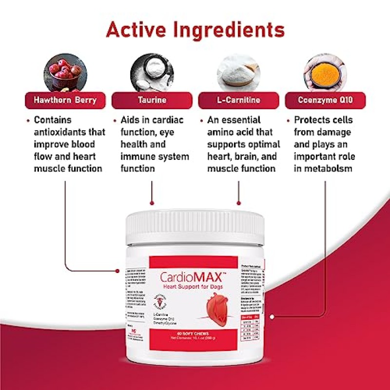 개를 위한 CardioMAX 심장 지원 보충제 - L-타우린, L-카르니틴, EPA 및 DHA, 코엔자임 Q10 - 순환 강화, 심혈관 지원, 심장 근육 기능 보조 - 미국산 - 360 소프트 츄