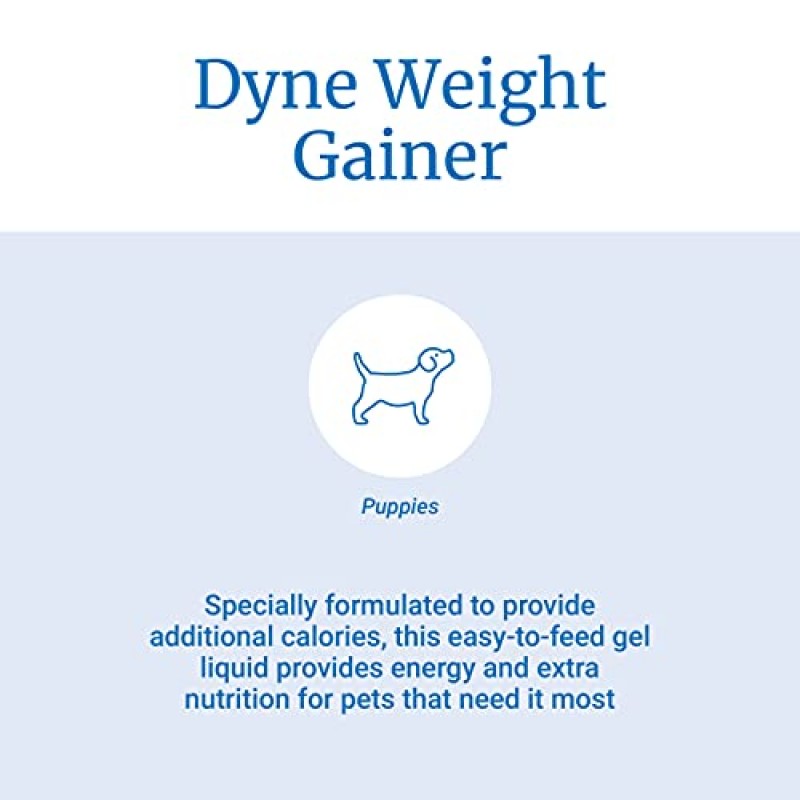PetAg Dyne 개와 강아지를 위한 고칼로리 액체 영양 보충제 - 회복 및 간호를 위한 종합 비타민 함유 - 바닐라 맛 - 128 fl oz (1 gal)
