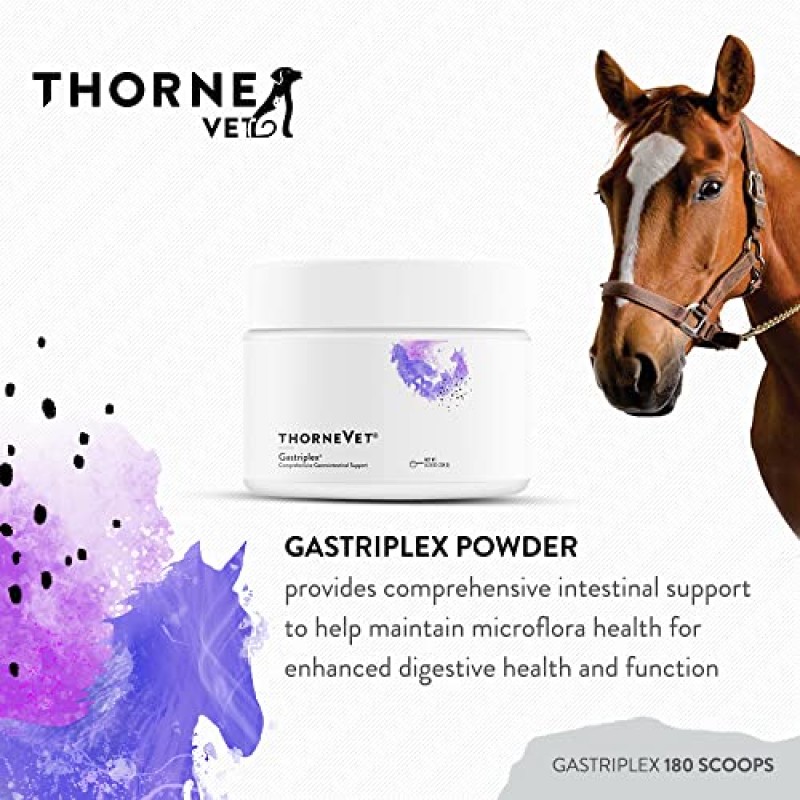 ThorneVet Gastriplex 180 스쿠프