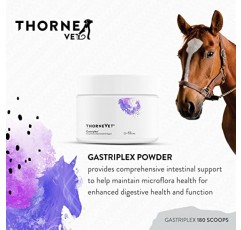 ThorneVet Gastriplex 180 스쿠프