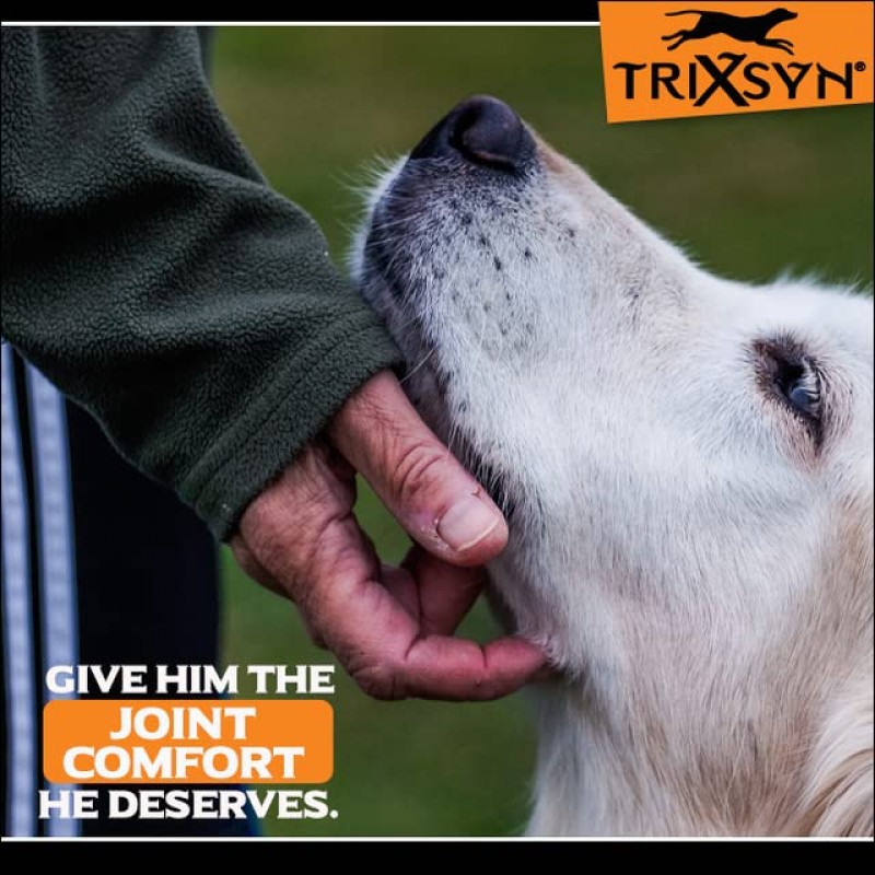 개를 위한 TRIXSYN Canine - 소형 및 노령견을 위한 액상 히알루론산 고관절 및 관절 관리 보조제 - 6 fl oz, 2 팩, 144일 공급