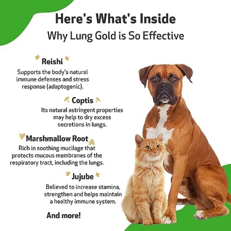 Pet Wellbeing 개와 고양이용 Lung Gold - 수의사 제조 - 폐 및 호흡기 면역 지원, 개방형 기도, 쉬운 호흡 - 천연 허브 보조제 4oz(18ml)