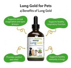 Pet Wellbeing 개와 고양이용 Lung Gold - 수의사 제조 - 폐 및 호흡기 면역 지원, 개방형 기도, 쉬운 호흡 - 천연 허브 보조제 4oz(18ml)