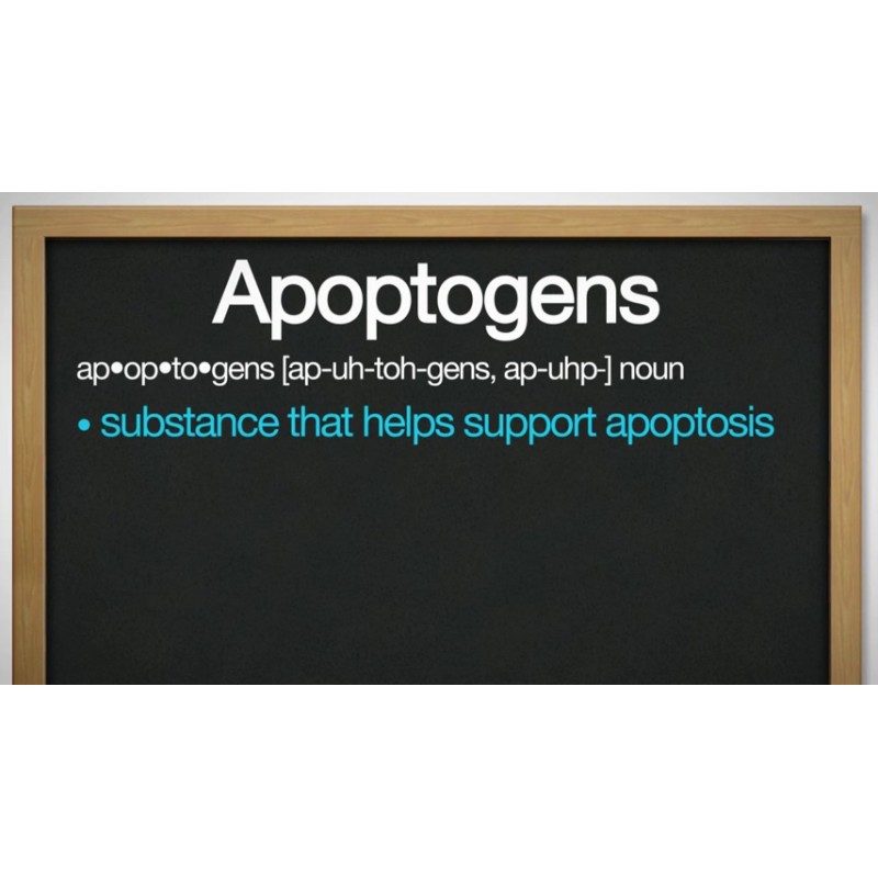 개용 Apocaps Cx Apoptogen (2박스 팩) - 각 90개