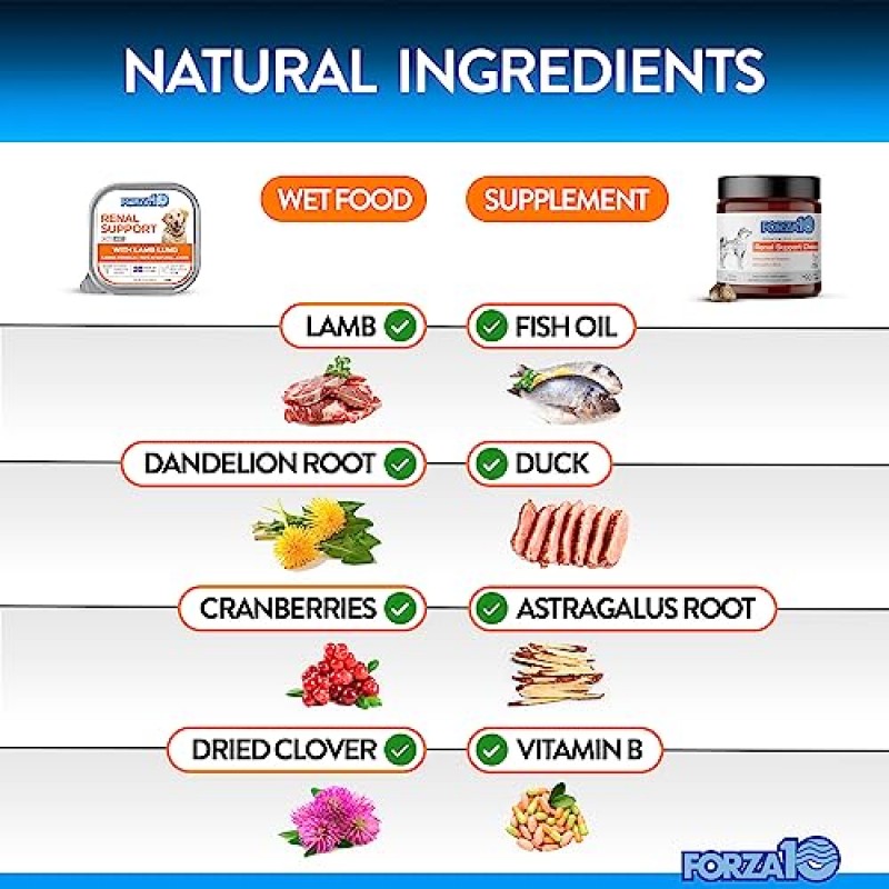 Forza10 신장 반려견 사료 습식 및 반려견 신장 지원 보충제, 신장 관리 반려견 사료 습식 및 씹는 반려견용