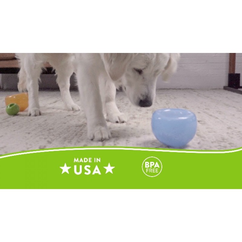 Planet Dog Orbee-Tuff Snoop Clear Interactive Treat Dispensing Dog 장난감, 대형