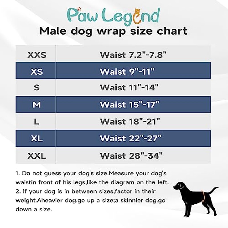 남성 개를 위한 Paw Legend 세척 가능한 개 배꼽 밴드 랩 기저귀 | 고흡수 강아지 및 강아지 기저귀 수컷(3팩, 미디엄)