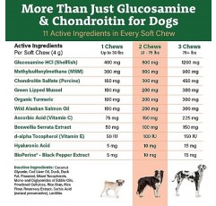 Doggie Dailys 개를 위한 글루코사민 - 120개 츄어블 - 콘드로이틴, 녹색 입 홍합, 강황 및 바이오프린이 함유된 개 관절 보조제 - 개가 활동적인 상태를 유지하는 데 도움이 되는 프리미엄 노령견 보조제