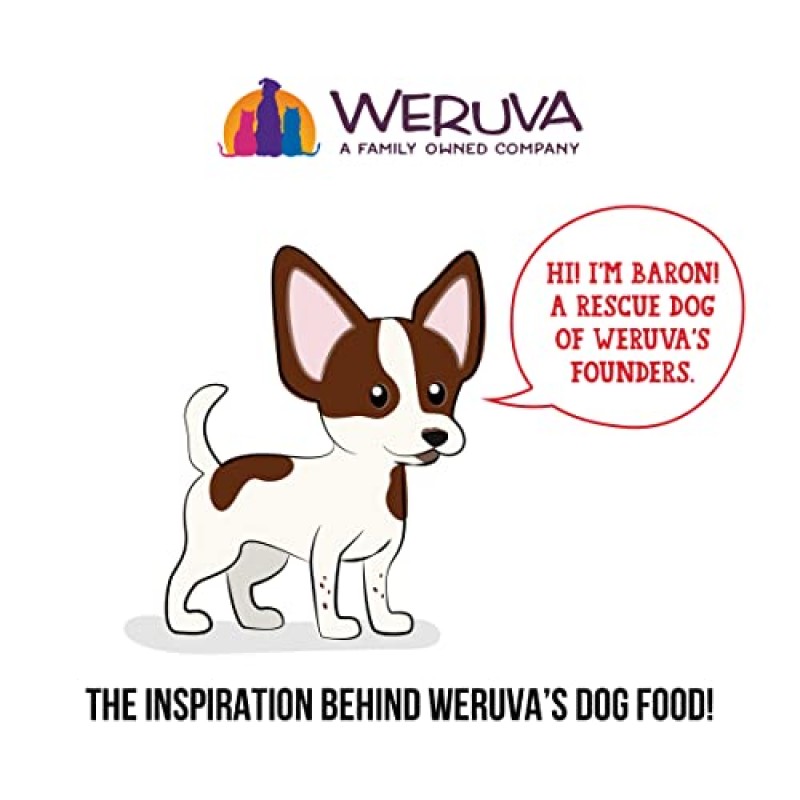 Weruva Dogs in The Kitchen, 쇠고기와 자연산 연어 습식 개 사료를 곁들인 더블 딥, 2.8온스 파우치(12팩)