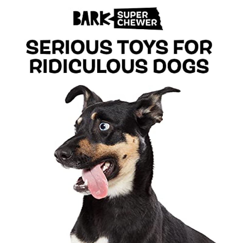 Barkbox 슈퍼 씹기 공격적인 씹기용 터프 개 씹기 장난감, 치과 자극용(터키 - 소형)