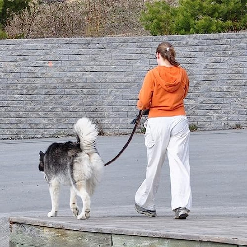 LWBMG 가죽 개 가죽끈 6피트 x 3/4인치 중형 및 대형견 품종을 위한 부드럽고 내구성이 뛰어난 가죽 가죽끈 헤비 듀티 가죽 개 훈련 가죽끈 브라운