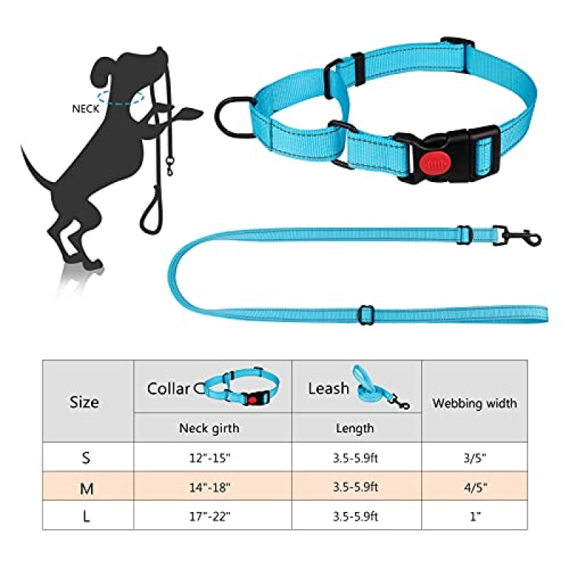 마틴게일 개 목걸이 및 가죽끈 세트 개용 마틴게일 목걸이 소형 중형견용 반사 마틴게일 목걸이(하늘색&L)