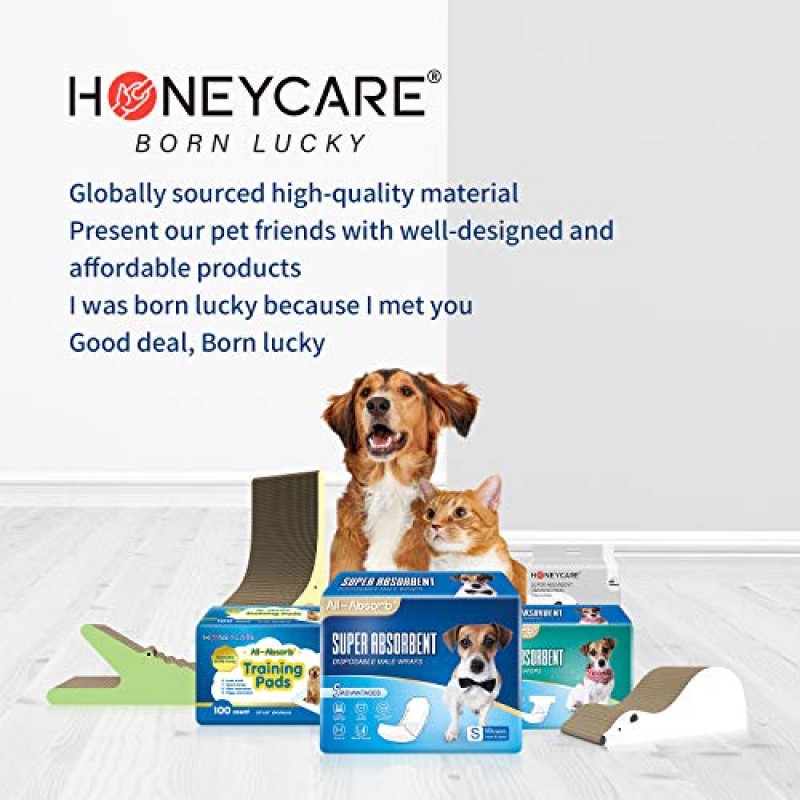 HONEY CARE 전흡수성 일회용 여성용 반려견 기저귀 초소형, 개선된, 50개, 초흡수성, 통기성, 습도 표시기