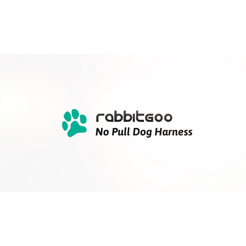 Rabbitgoo 개 하네스, 끈 클립 2개가 있는 당기지 않는 애완 동물 하네스, 조절 가능한 소프트 패딩 개 조끼, 중형견용 간편한 제어 손잡이가 있는 반사형 초크 방지 애완 동물 옥스포드 조끼, 오렌지, M