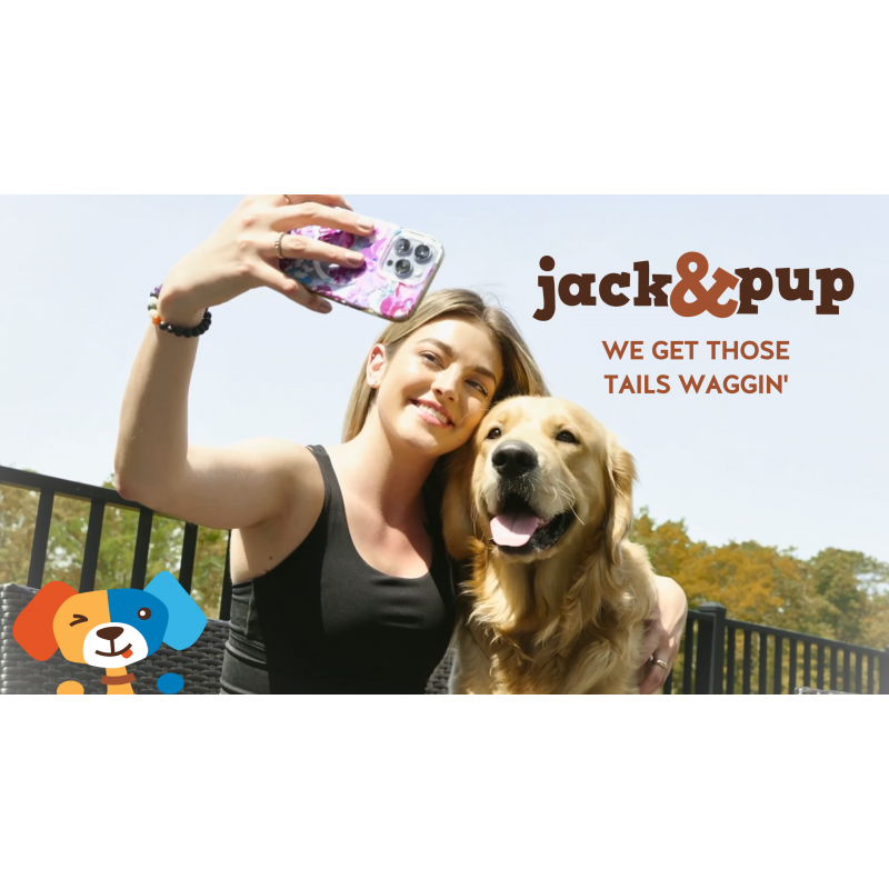 Jack&Pup 전체 엘크 뿔 을 위한 개 대형 | 자연적으로 창고됨 | 생가죽 무료 개는 개를 위해 오래 지속되는 엘크 뿔을 씹습니다 | 공격적인 씹어먹는 동물을 위한 개 뿔(1개의 특대형 뿔)