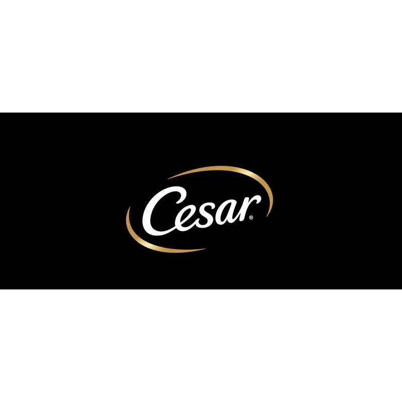 CESAR Simply Crafted 성인용 습식 개 사료 식사 토퍼, 닭고기, 당근, 녹색 콩, 쇠고기, 닭고기, 보라색 감자, 완두콩 및 당근 다양한 팩, 1.3 온스, 16 팩