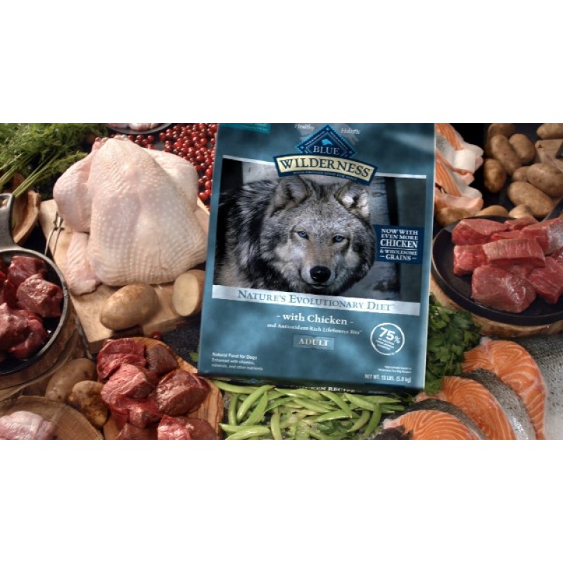 Blue Buffalo Wilderness 고단백 천연 강아지 건조 개 사료와 건강에 좋은 곡물, 닭고기 13 lb 봉지