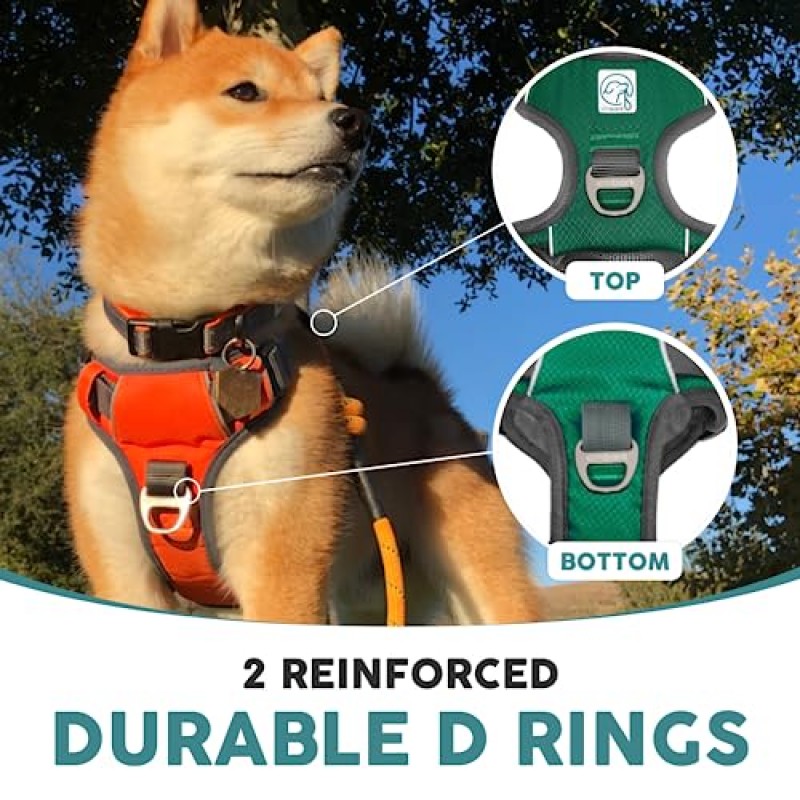 Embark Adventure Dog Harness 중형, 소형 및 대형견을 위한 당기지 않는 개 하네스입니다. 가죽 끈 클립 2개, 전면 및 후면 제어 손잡이 포함, 조절 가능한 녹색 개 조끼, 편안함을 위해 부드럽고 패딩 처리됨