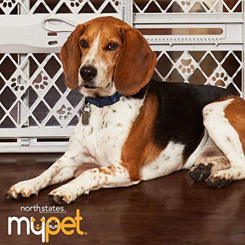 MYPET North States 31인치 높이의 FurSure Arch EasyPass 애완동물 게이트: 조정 가능한 소형 애완동물 도어가 장착되어 있습니다. 금속 막대를 오르기 어렵습니다. 압력 마운트. 너비 29.75인치~37.5인치에 적합(높이 31인치, 흑연)