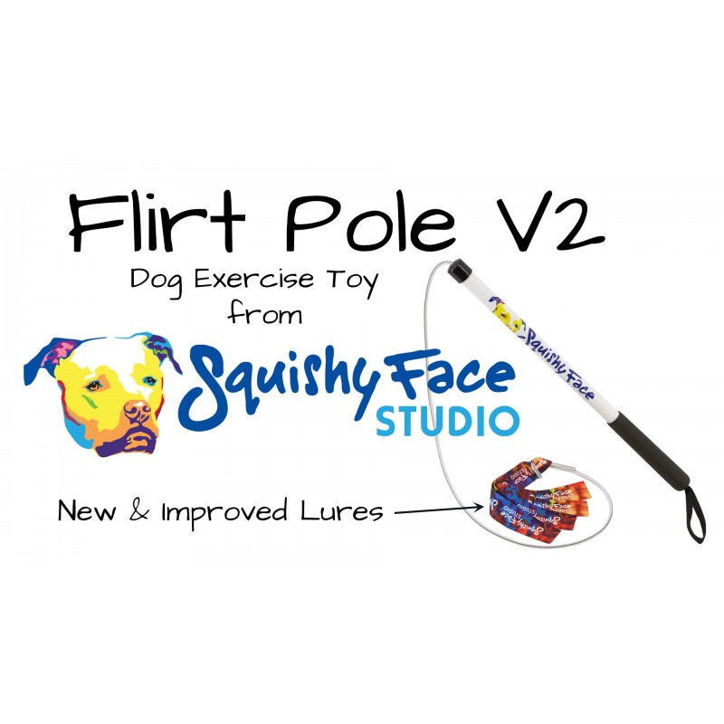 Squishy Face Studio Flirt Pole V2 with Lure - 재미있는 복종 훈련 및 운동을 위한 내구성이 뛰어난 강아지 장난감, 보라색/파란색 타이 염료, 일반 - 36인치