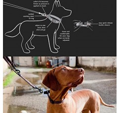 EzyDog Checkmate Martingale 스타일 프리미엄 나일론 안전 훈련 및 교정 개 목걸이 - 퀵클립 버클 및 반사 스티치 - 질식 효과 없이 쉽게 제어 가능(대형, 파란색)