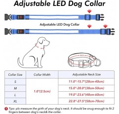 Illumifun LED 개 목걸이, 강아지 산책 캠핑을 위한 USB 충전식 개 목걸이 라이트(블루, 대형)