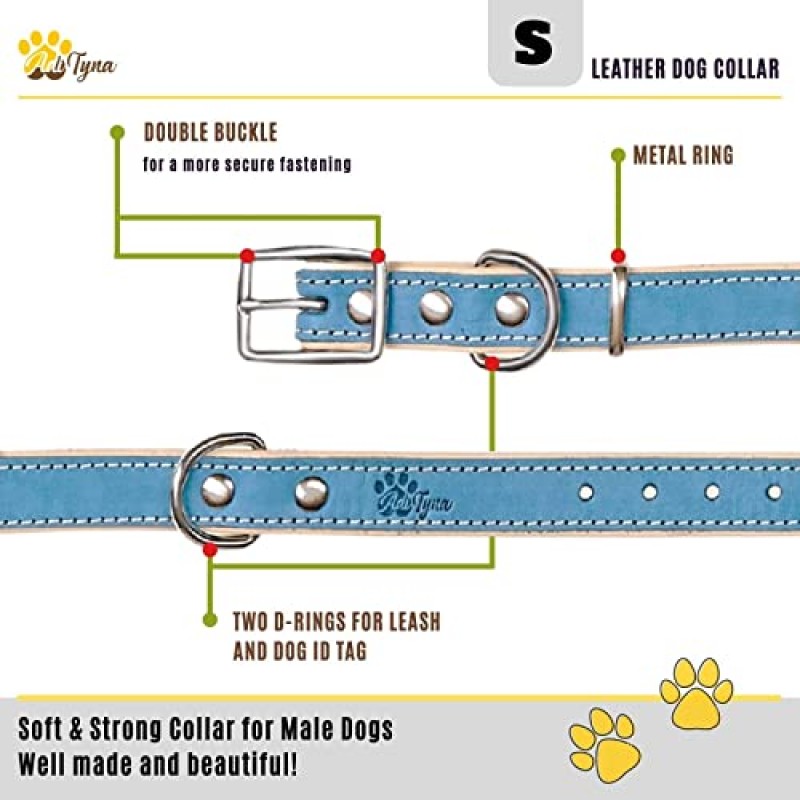 ADITYNA - 소형견용 고강도 프리미엄 가죽 개 목걸이 - 부드러운 천연 가죽으로 패딩 처리되어 아늑한 느낌