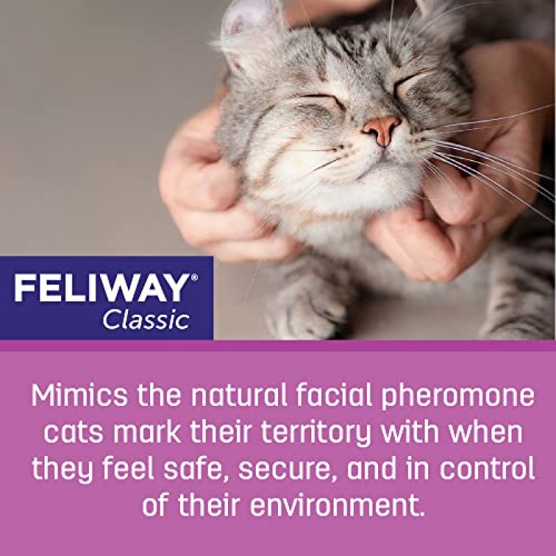 FELIWAY 클래식 고양이 진정 페로몬 디퓨저, 30일 스타터 키트(48mL)