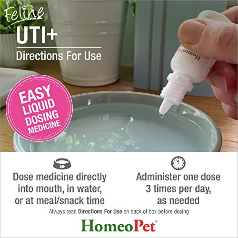 HomeoPet UTI Plus 요로 감염, 고양이용 요로 지원, 15밀리리터