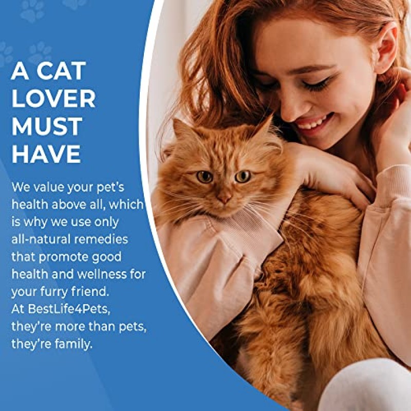 BestLife4Pets | 고양이를 위한 편안한 호흡 | 고양이의 호흡기 시스템 및 호흡 개선| 재채기와 코막힘을 위한 고양이 항히스타민제 | 의사