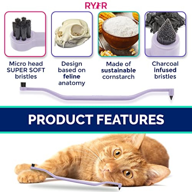 RYERCAT 양면 고양이 칫솔 - 고양이/새끼 고양이 입에 맞는 마이크로 헤드가 있는 새끼 고양이 칫솔 - 고양이 치과 관리 용품 - 고양이용 애완 동물 칫솔(라벤더 퍼플)