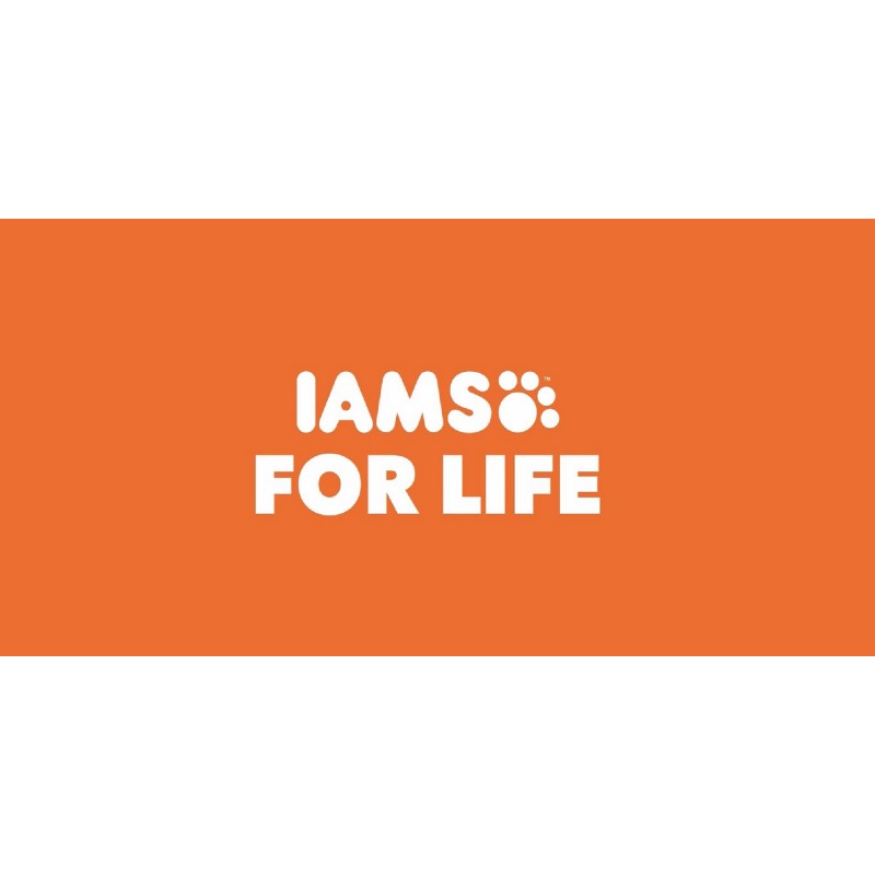 IAMS PROACTIVE HEALTH 성인 요로 건강 건조 고양이 사료(닭고기 포함), 7파운드 가방