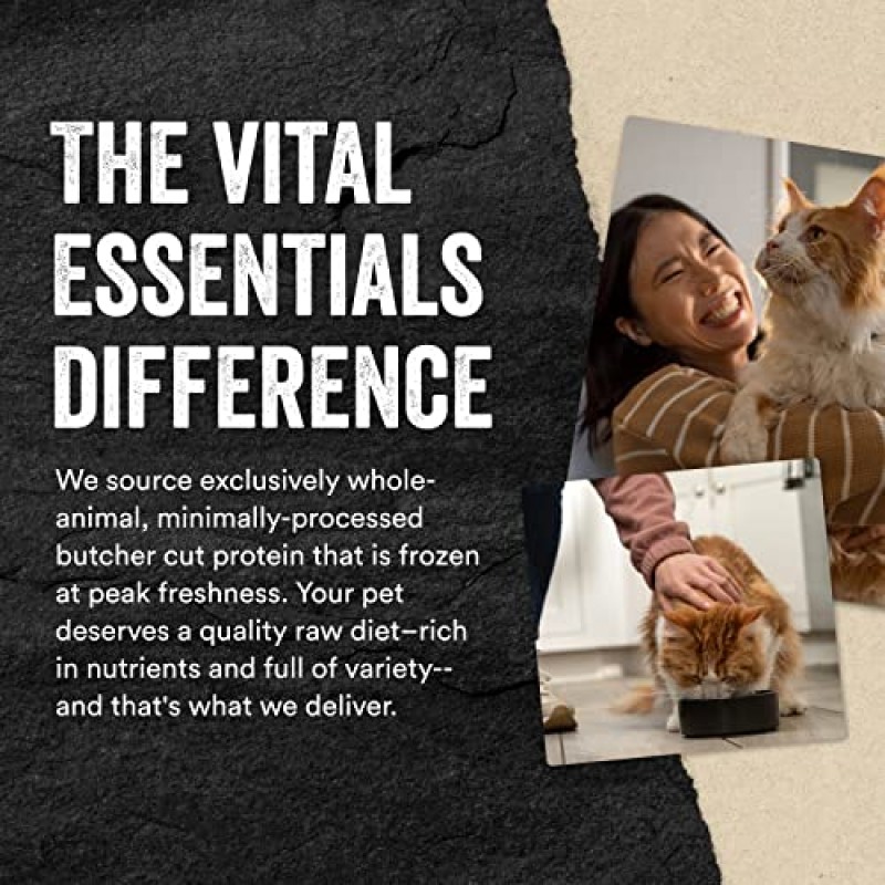 Vital Essentials 동결 건조 고양이 사료, 생 쇠고기 및 닭고기 미니 펜촉 앙트레, 12온스