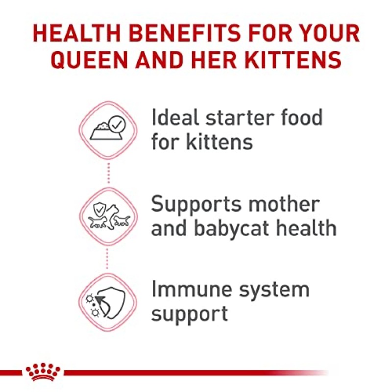 Royal Canin Feline Health Nutrition Mother & Babycat 소스에 함유된 울트라 소프트 무스 통조림 고양이 사료, 3온스(24팩)