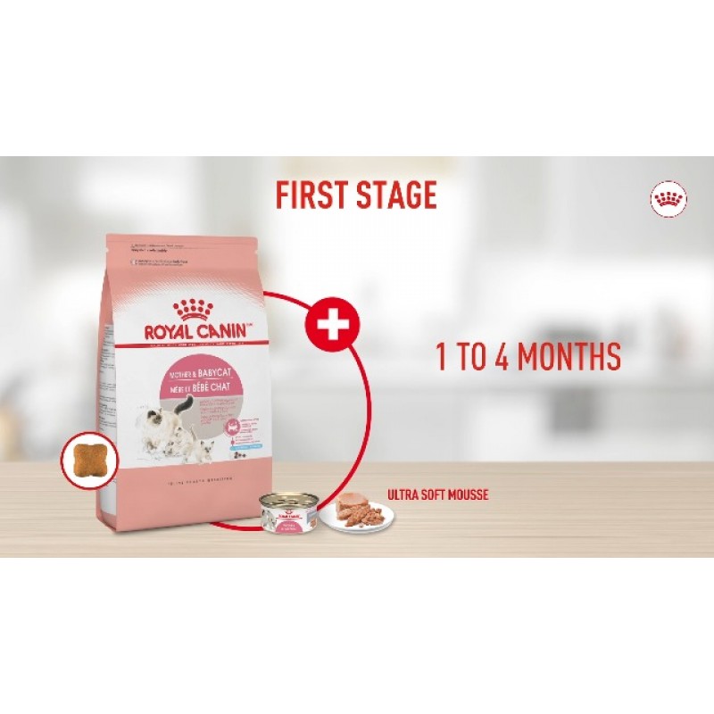 Royal Canin Feline Health Nutrition Mother & Babycat 소스에 함유된 울트라 소프트 무스 통조림 고양이 사료, 3온스(24팩)