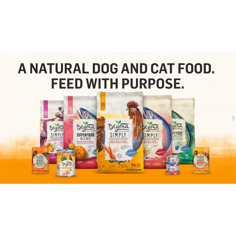 Purina Beyond 고단백, 천연 새끼 고양이 사료, 새끼 고양이 닭고기 및 오트밀 레시피 - 3파운드 가방