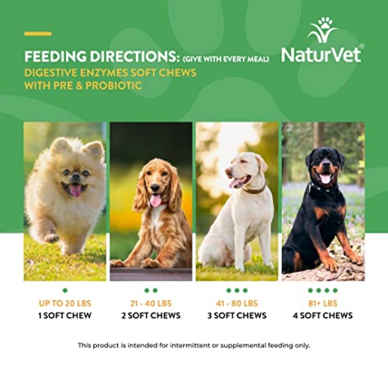 NaturVet – 소화 효소 – 플러스 프로바이오틱스 및 프리바이오틱스 – 식습관 변화 및 건강한 소화관 지원 – 개와 고양이용(소프트 츄, 120개)