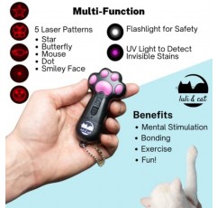 Luli & Cat USB 충전식 고양이 레이저 포인터 | 실내 고양이를 위한 다기능 고양이 레이저 장난감 | 인터랙티브 고양이 장난감 선물 세트